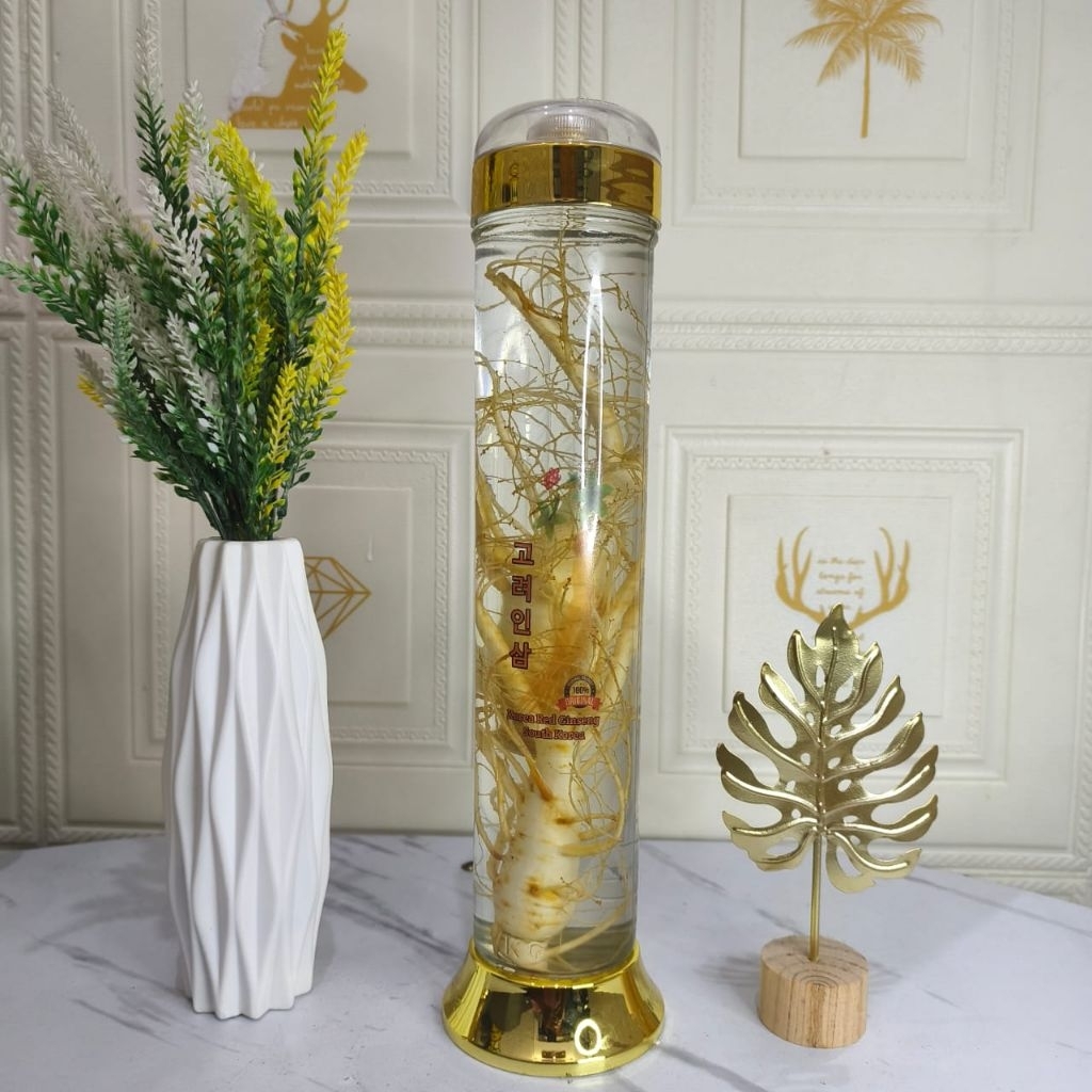 Paket Botol Kaca Ginseng Korea Ukuran 1,1L
