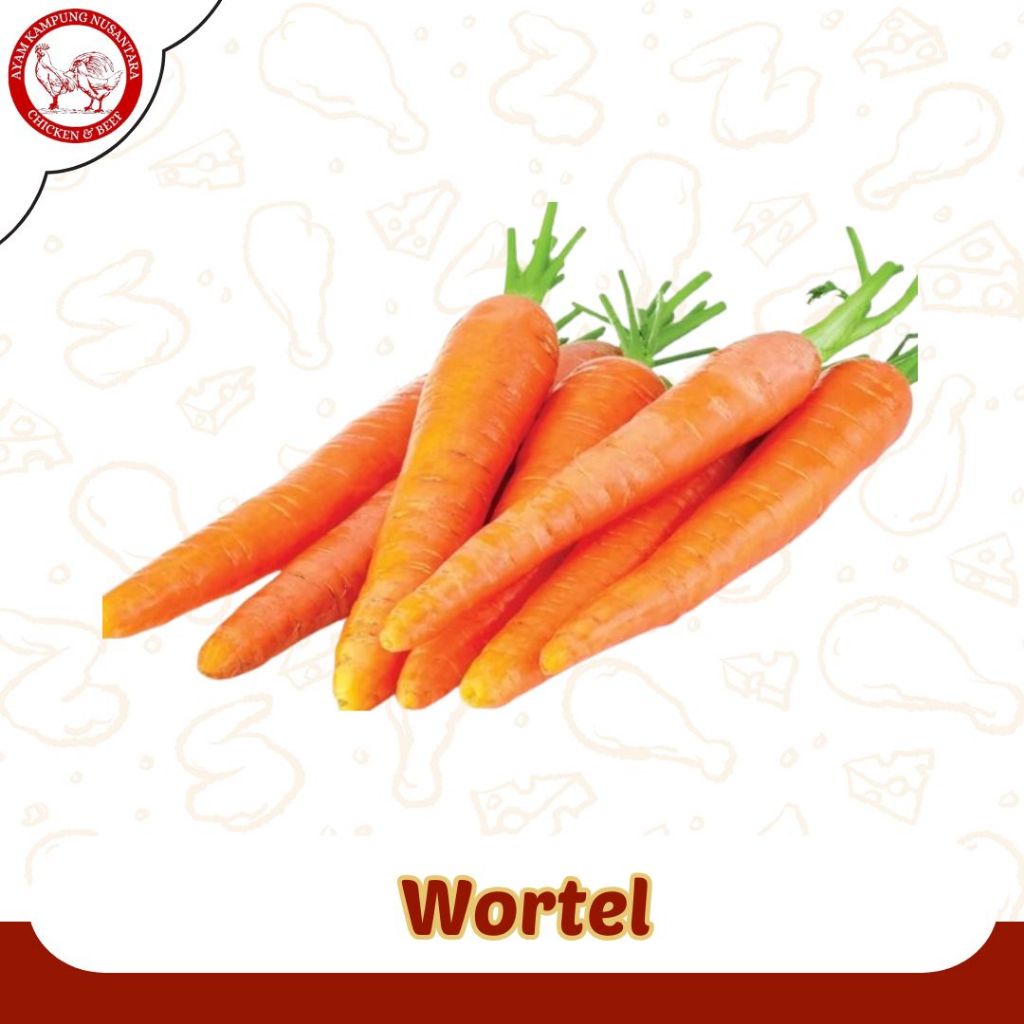 

WORTEL SEGAR 500 GRAM
