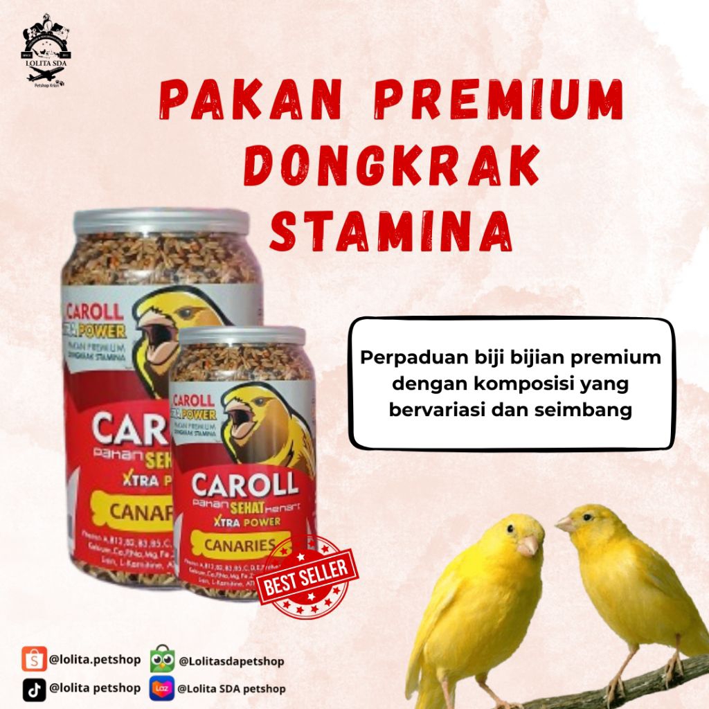 caroll kenari pakan penggacor burung kenari