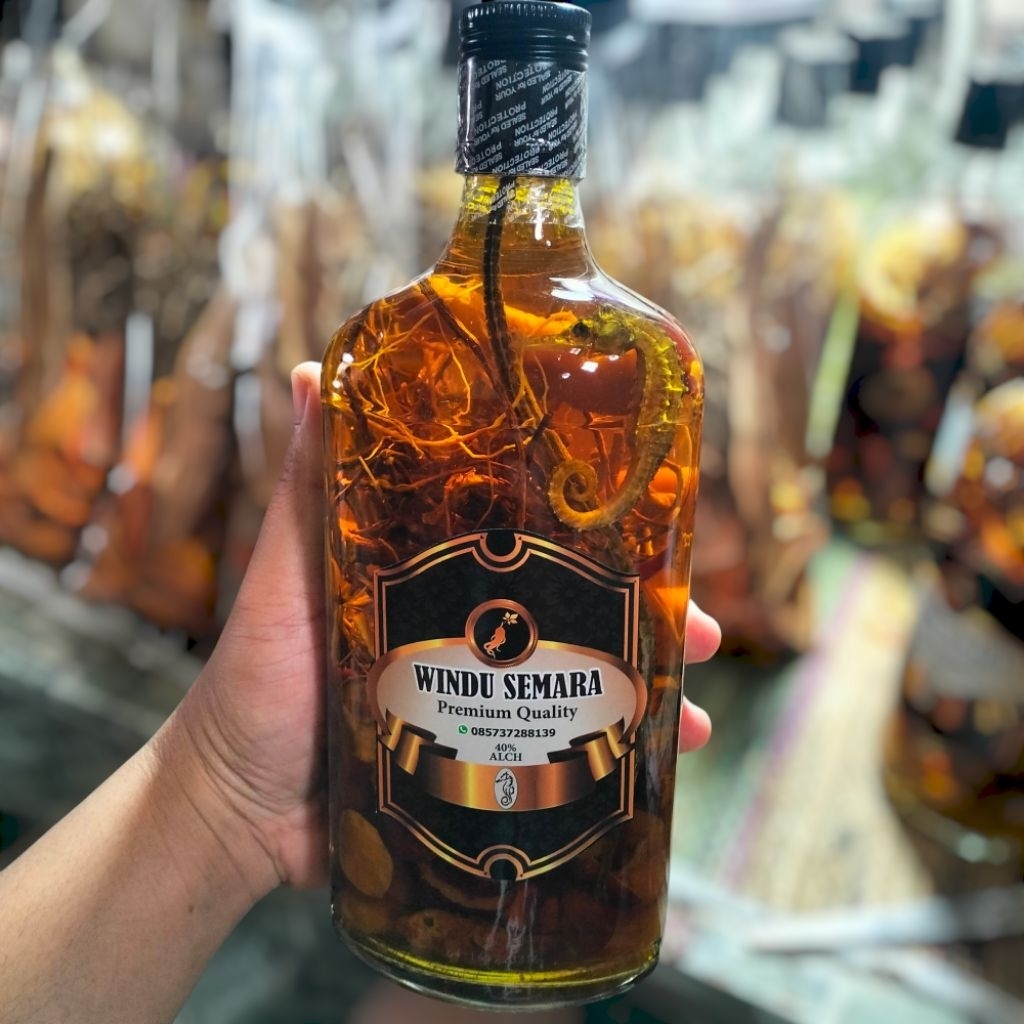 

baceman rendaman ginseng rempah kud4laut