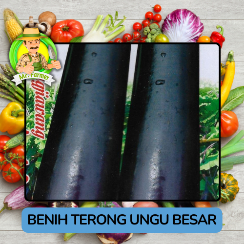

Jenis Benih Sayuran Terong Benih Sayuran