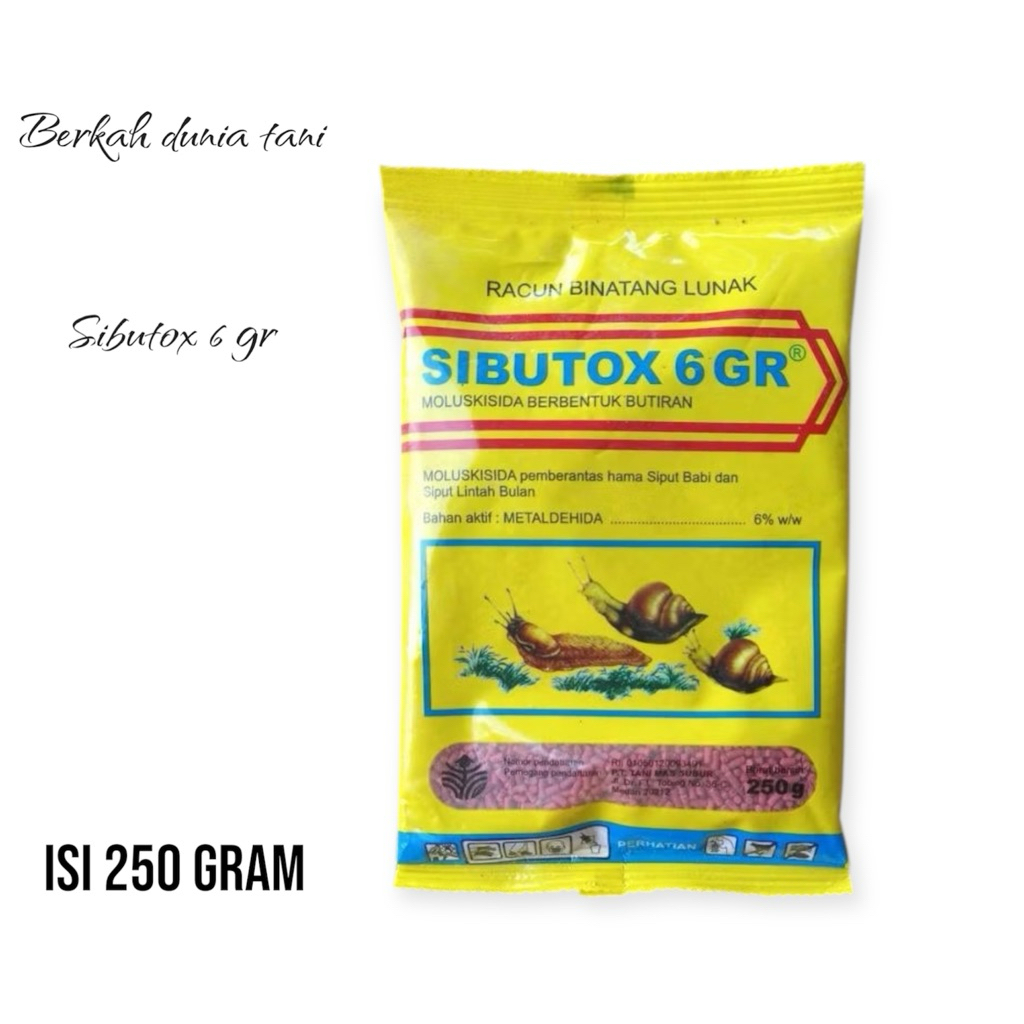 RACUN SIPUT SIBUTOX 6 GR 250 GRAM