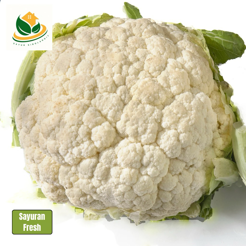 

Bunga Kol 500gr - Bunga Kol