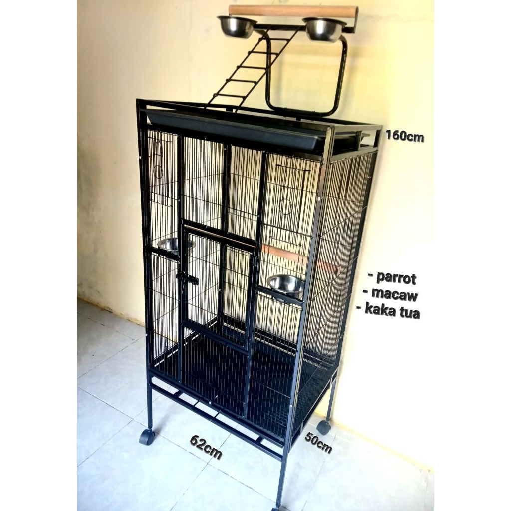 kandang burung parrot macaw kaka tua