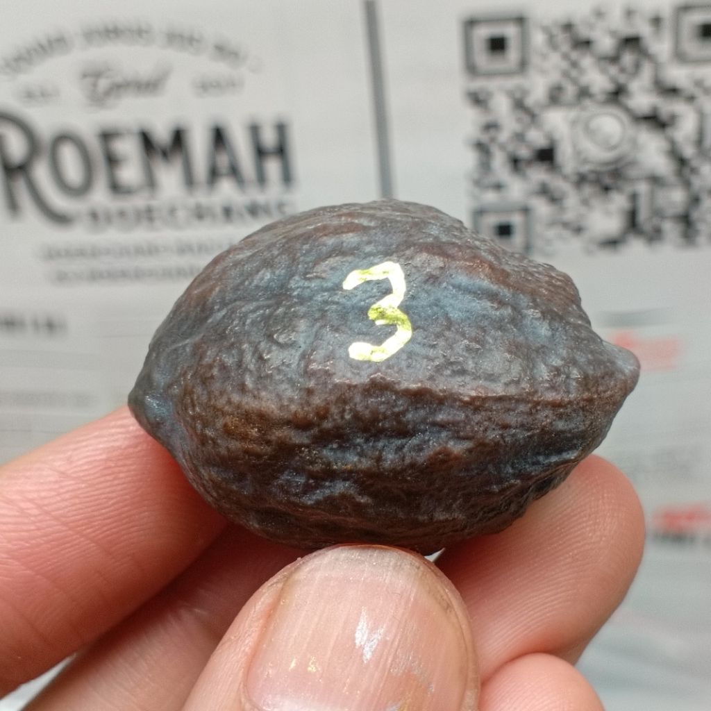 Muncang Adu Anak Pait kode 3