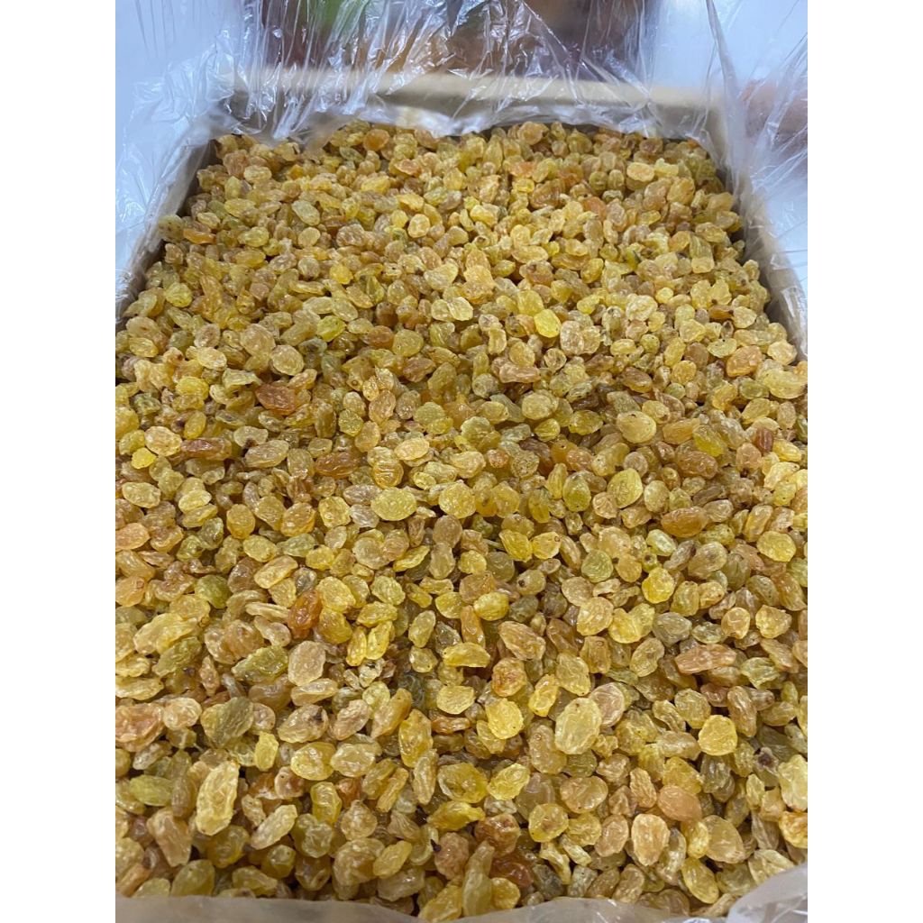 

Kismis Raisin 1kg manis oleh haji dan umroh