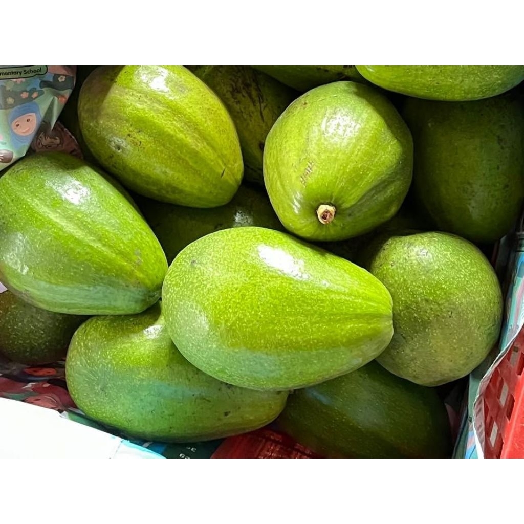 

Alpukat Mentega Lokal – 1 Kg Isi 2–5 | Rasa Gurih & Daging Padat