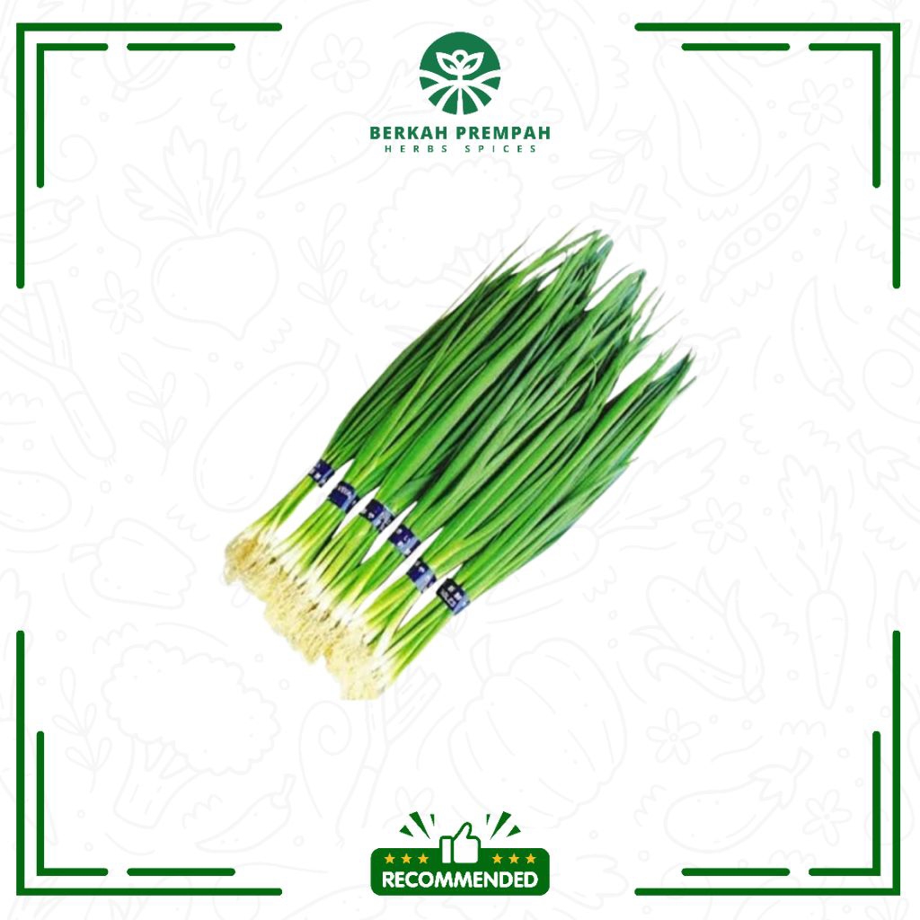 

Daun bawang cung kecil / Fresh chives - Berkahprempah