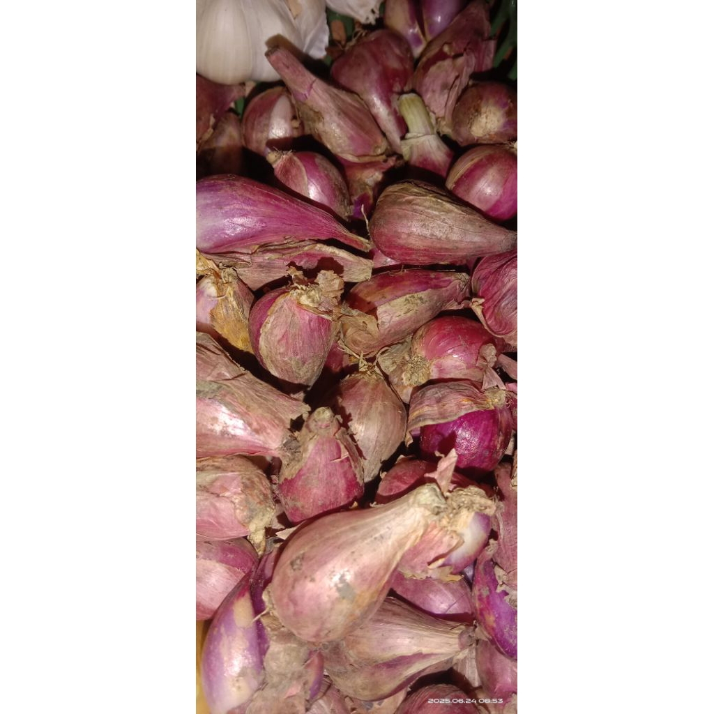 

Bawang merah 250gr murah