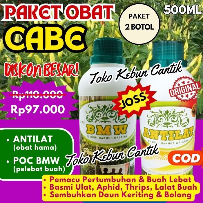 POC BMW + Obat Hama Antilat | Pupuk Organik Pemacu Tumbuh Tanaman Cabe | Atasi Aphid, Thrips, Keriti