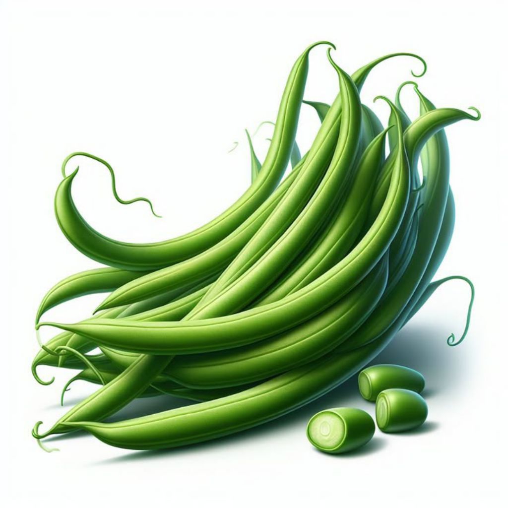 

Sayuran buncis segar - buncis lokal berkualitas - harga terjangkau