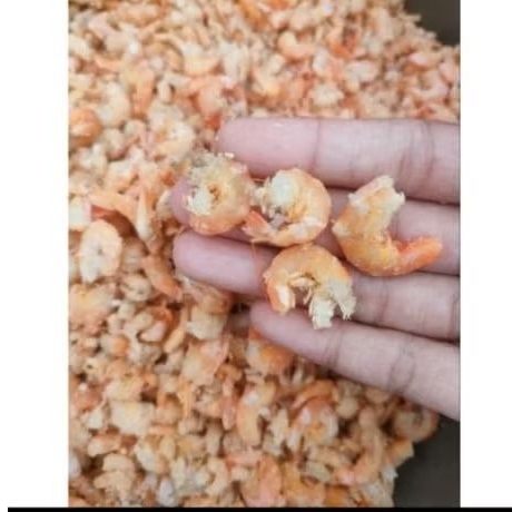 

UDANG EBI JURAGAN 250-500gram