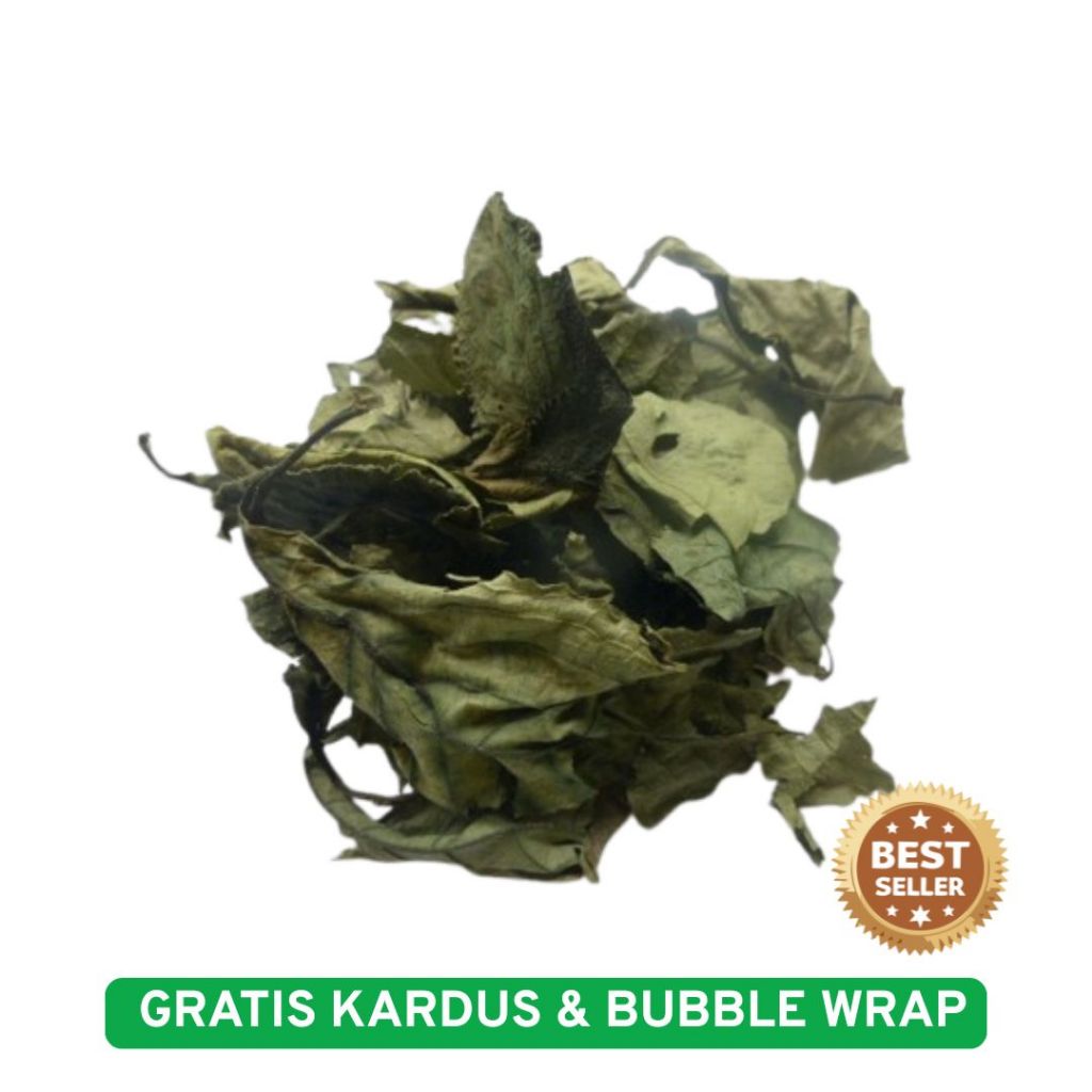 

DAUN KEJI BELING KERING 100 GRAM - Strobilanthes Crispa - MURNI - JSR - REMPAH - PREMIUM QUALITY
