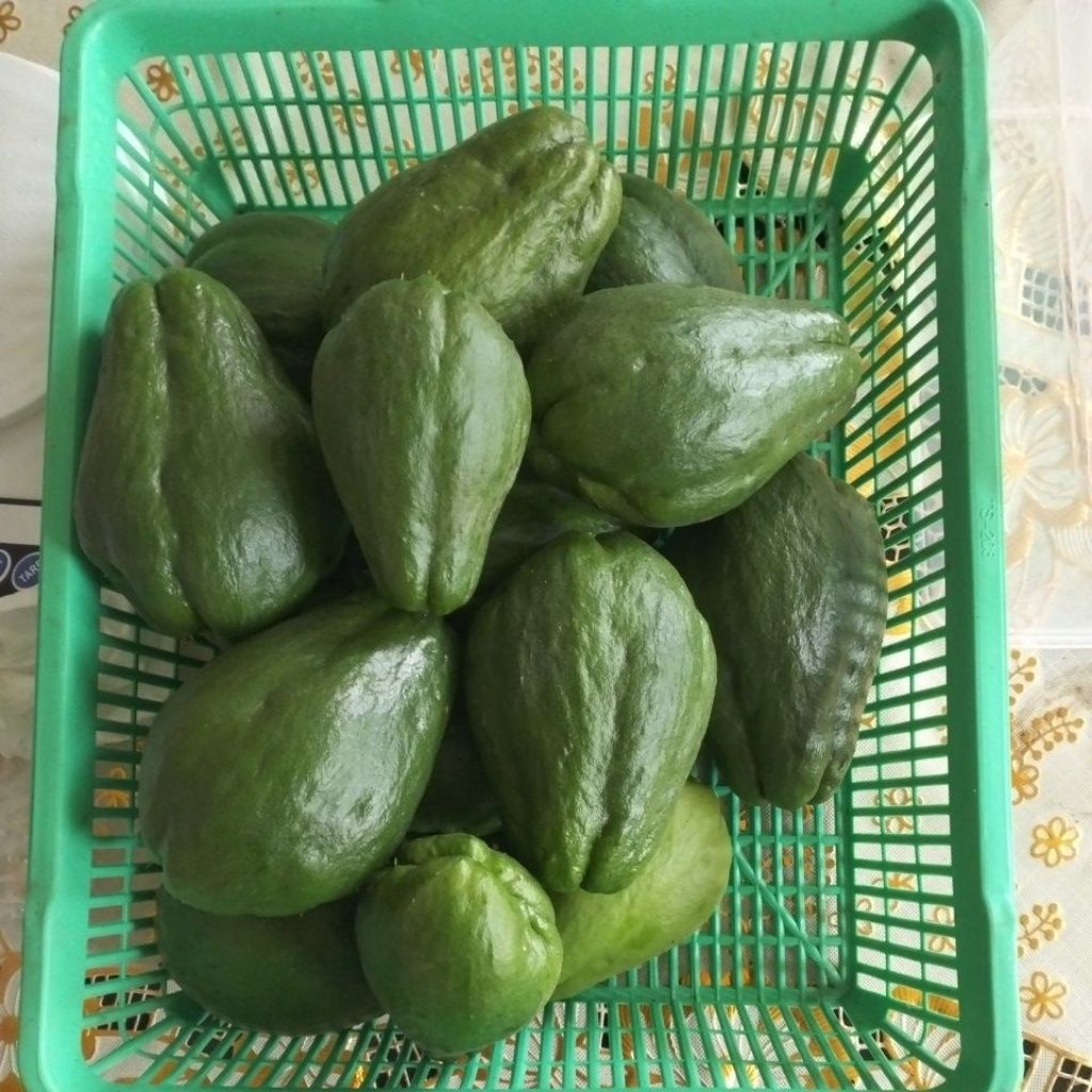 

Labu siam hijau 1 kg
