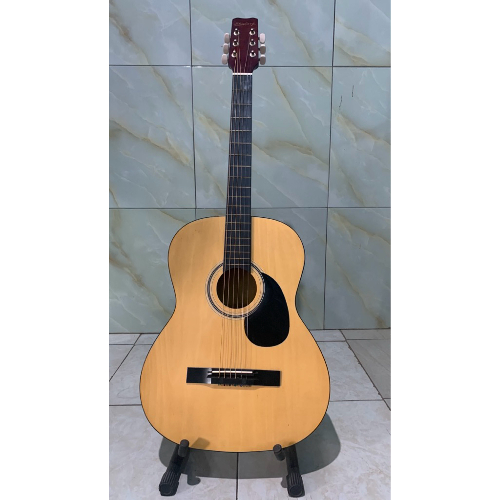 akustik gitar skylark