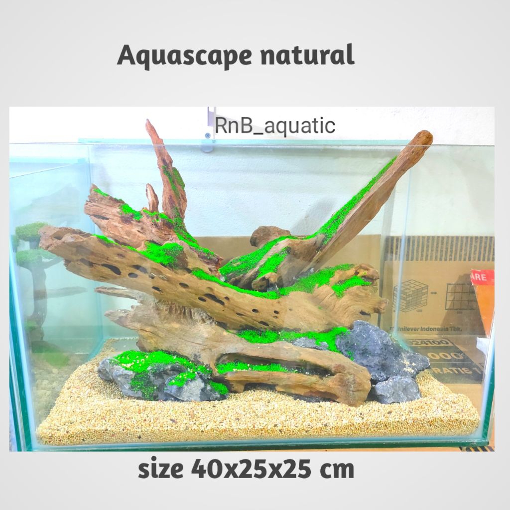 Aquascape murah tema natural 40.25.25 cm,, fullset siap pandang