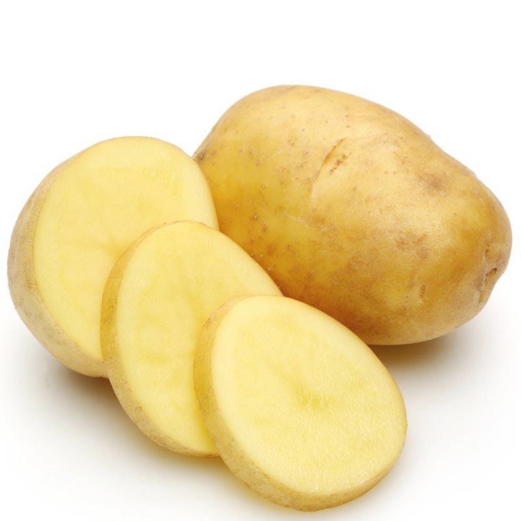 

Kentang potato segar kemasan 1kg/500gram