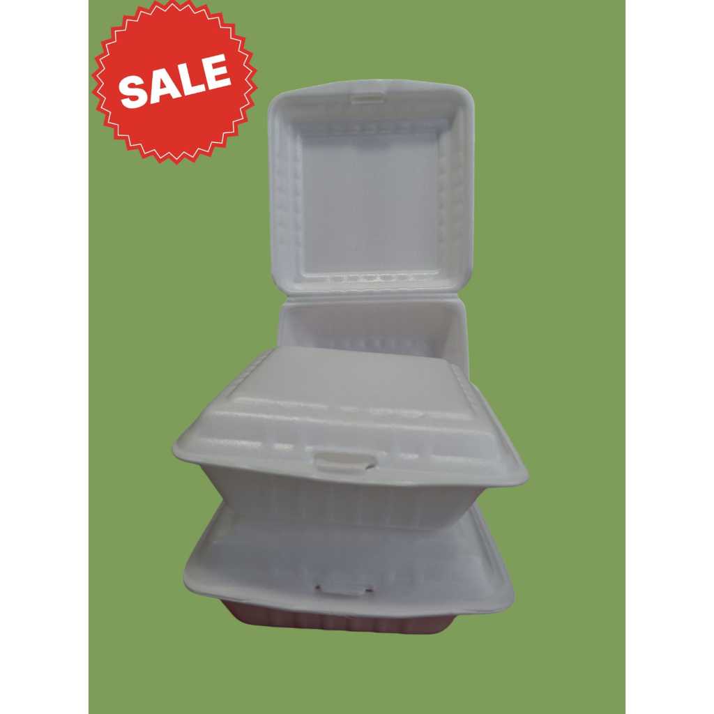 GABUS KOTAK NASI BESAR/ STYROFOAM KOTAK NASI BESAR /KOTAK NASI GABUS BESAR