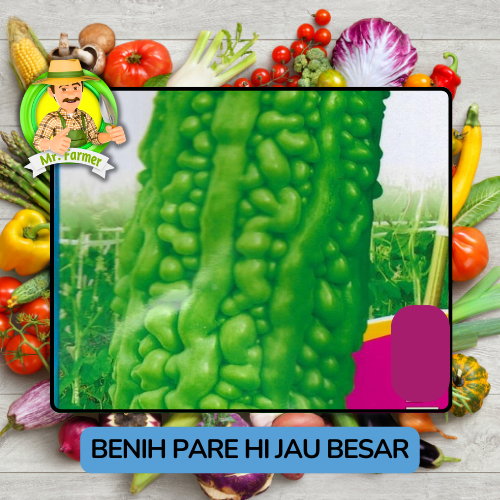 Jenis Benih Sayuran Pare Bibit Sayuran