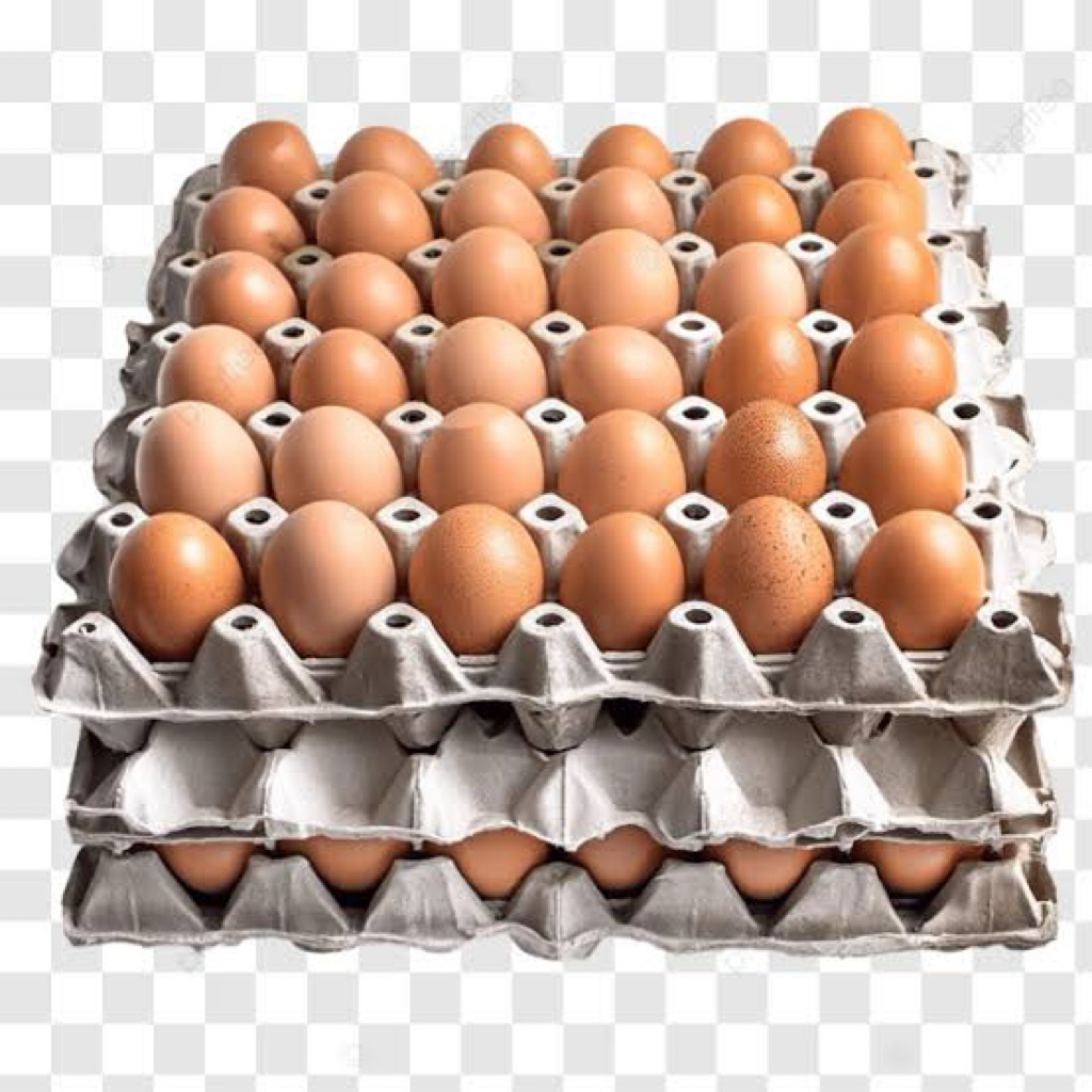 

Telur Ras Tanggung 250 Gram