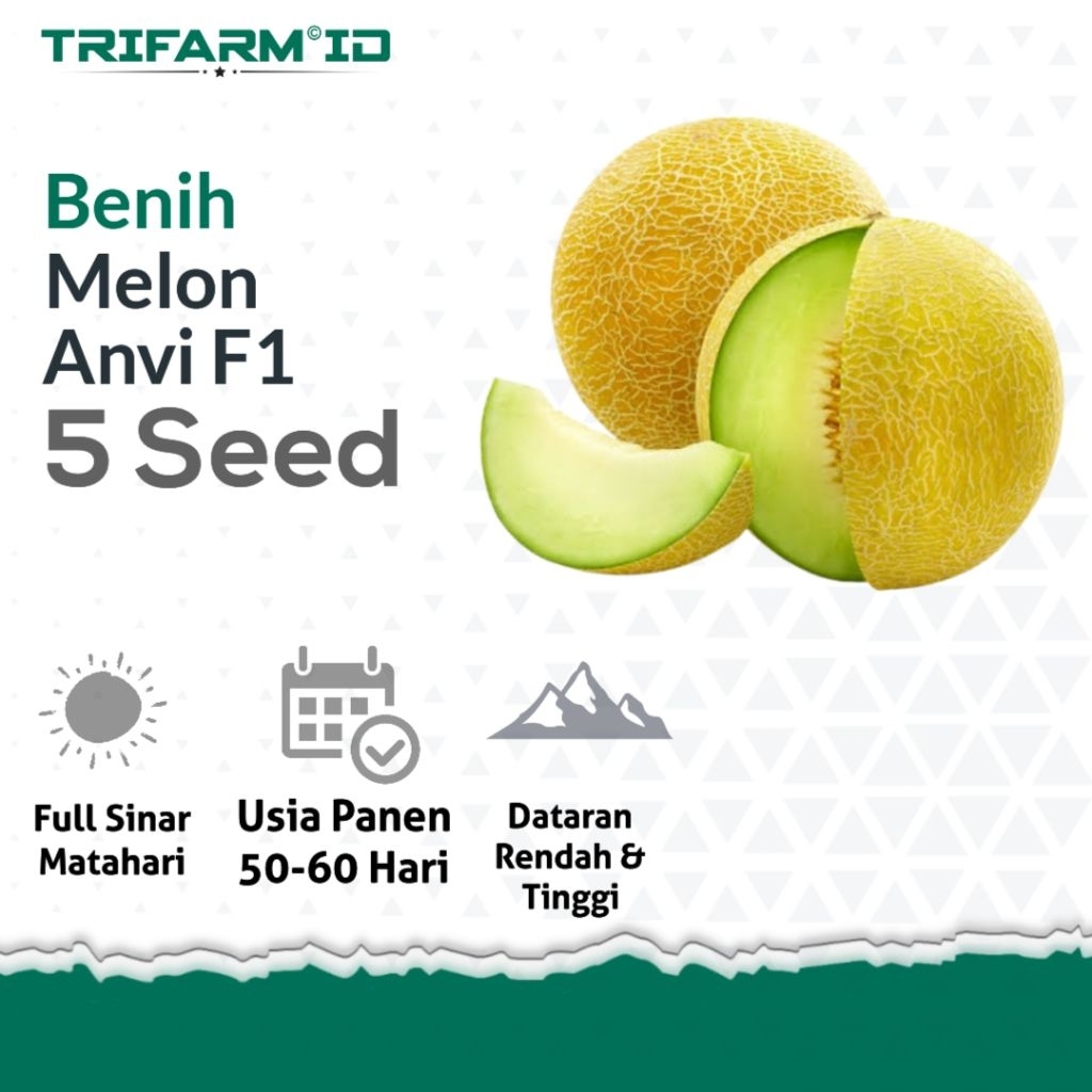 TRIFARM 5 Biji Benih Bibit Buah Melon Hibrida F1 Anvi Pertiwi Kemasan Ziplock