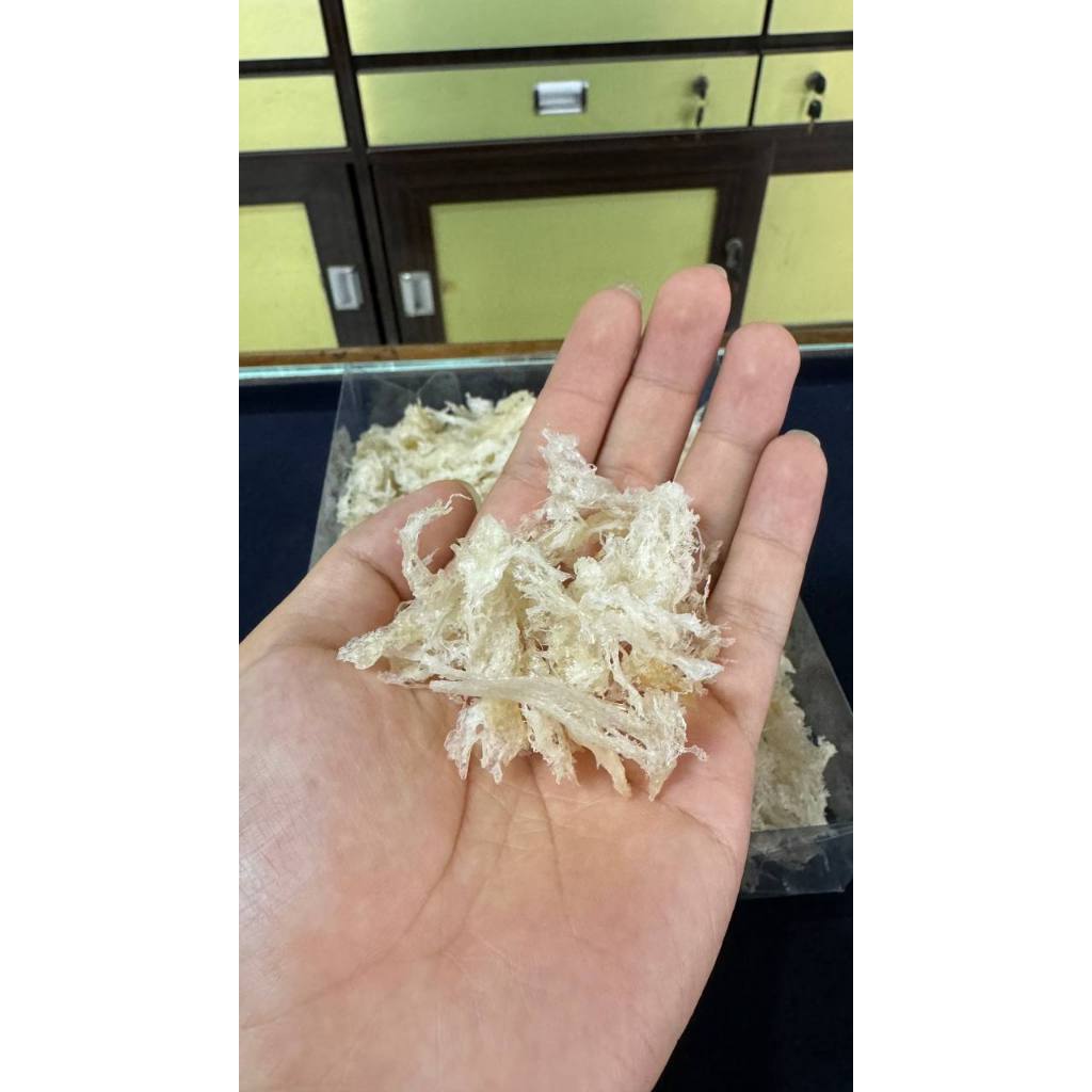 

Nestara - Sarang Burung Walet Terian - Sarang Burung Walet Siap Saji - 1000 gram