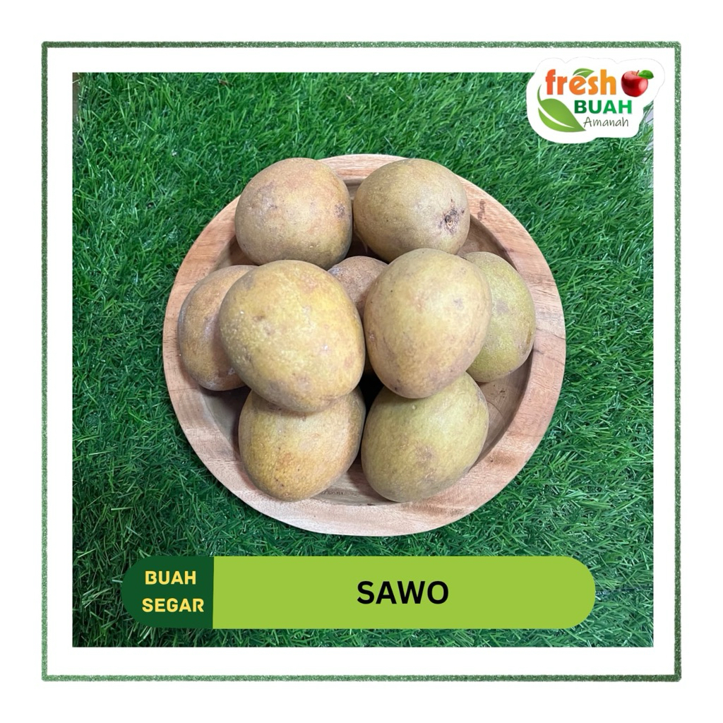 

Sawo | Buah | Fresh Buah Amanah