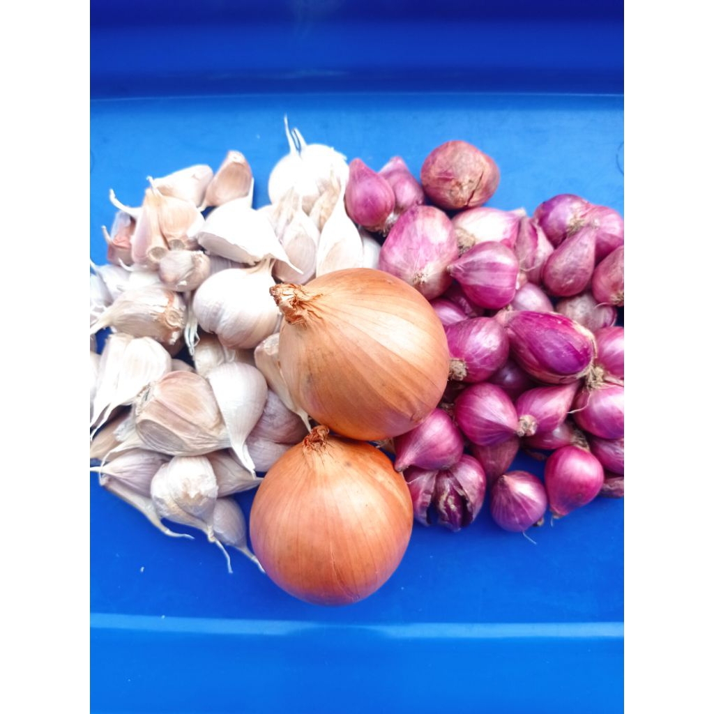 

Paket bawang komplit 2 (bawang merah-bawang kating-bombay)