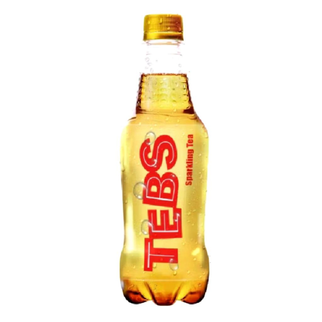 

TEBS SPARKLING SODA MIX FRUIT 300ML