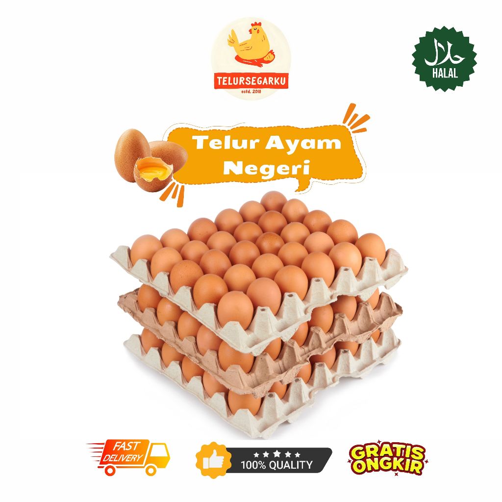 

Telur Ayam Negeri PREMIUM - 15 KG GRADE A Kualitas Terbaik
