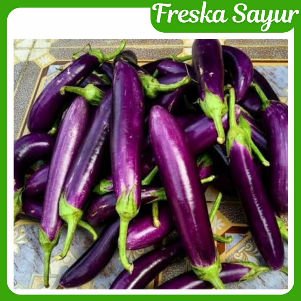 

Terong Ungu Segar 1 Kg