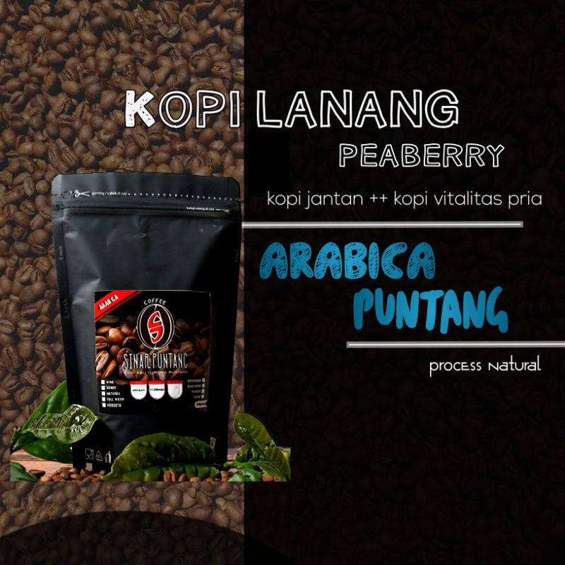 

Kopi Lanang Arabika Original Puntang Jawa Barat Stamina Pria Kopi Bubuk / Kopi Lanang Puntang