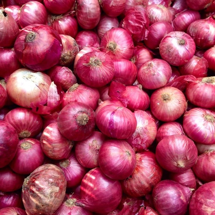 

Bawang Merah Langsung Petik Sendiri – Rasa Lebih Sedap & Tahan Lama