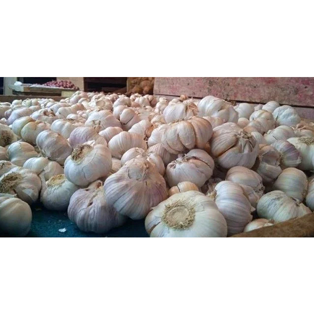 

Bawang Putih Honan 1/2 Kg – Siung Campur & Bersih | Rumsmart Premium