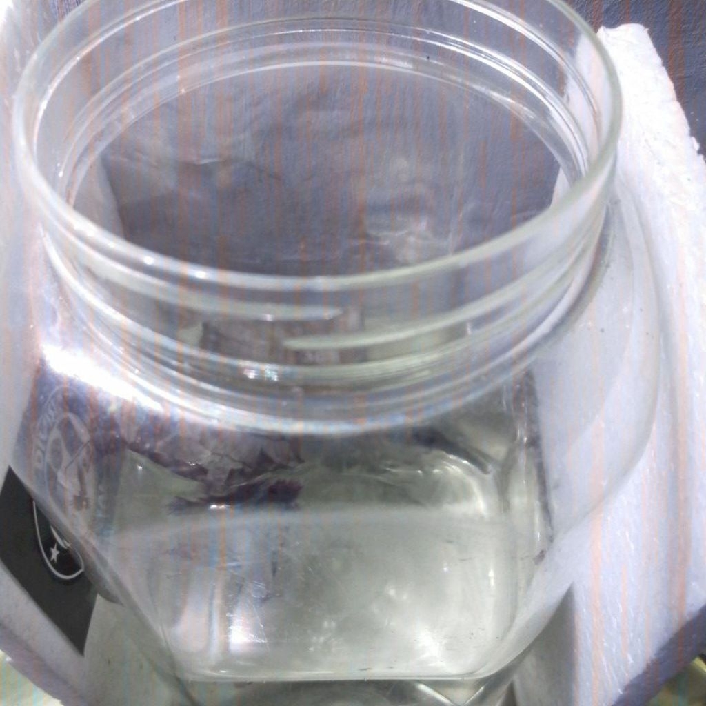 toples 2 liter tanpa tutup