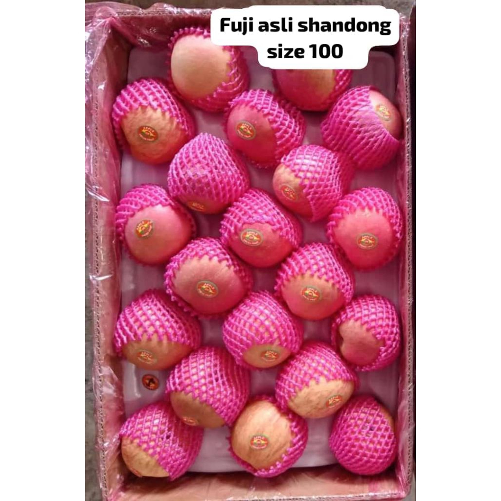 

APEL FUJI MURAH 1KG ISNA