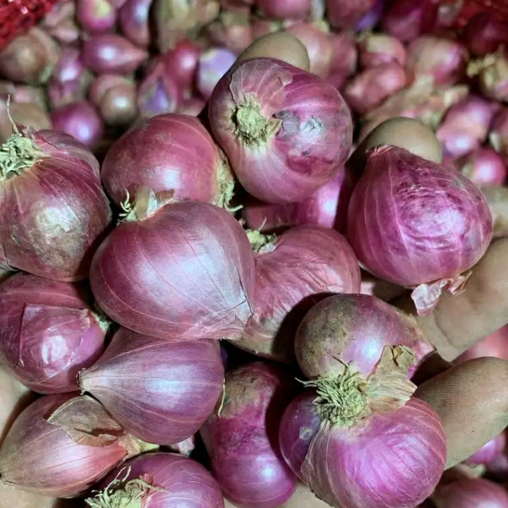 

Bawang Merah Segar Nganjuk