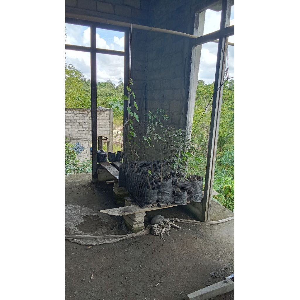 

ANGGUR JUPITER USA BUKAN VIAGRAA USA ATAU PUN ANGGUR JUPITER MX SAYANG....