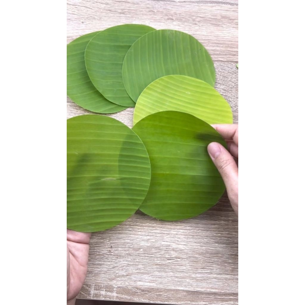 

Daun Pisang Bulat Segar Ready Banyak