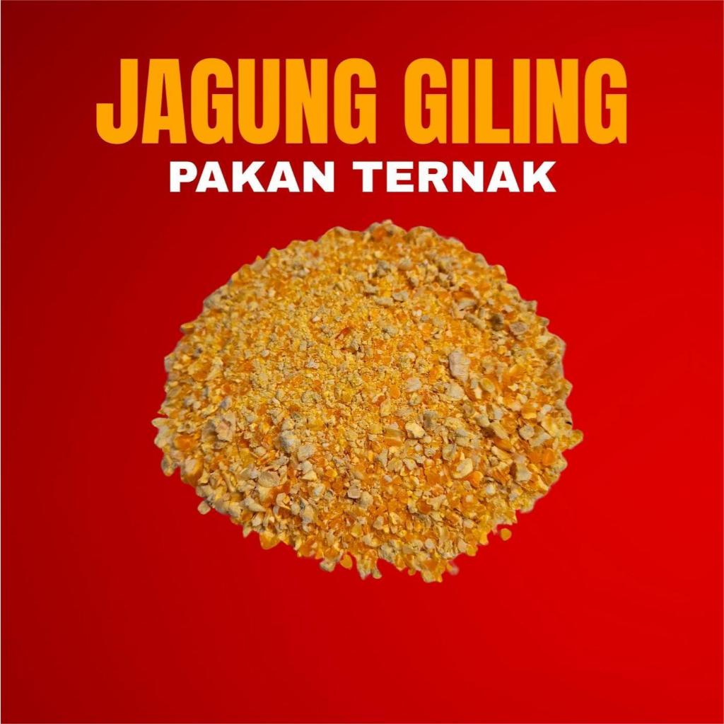 

JAGUNG GILING PAKAN TERNAK DAN UNGGAS BERAT 1KG - 5KG