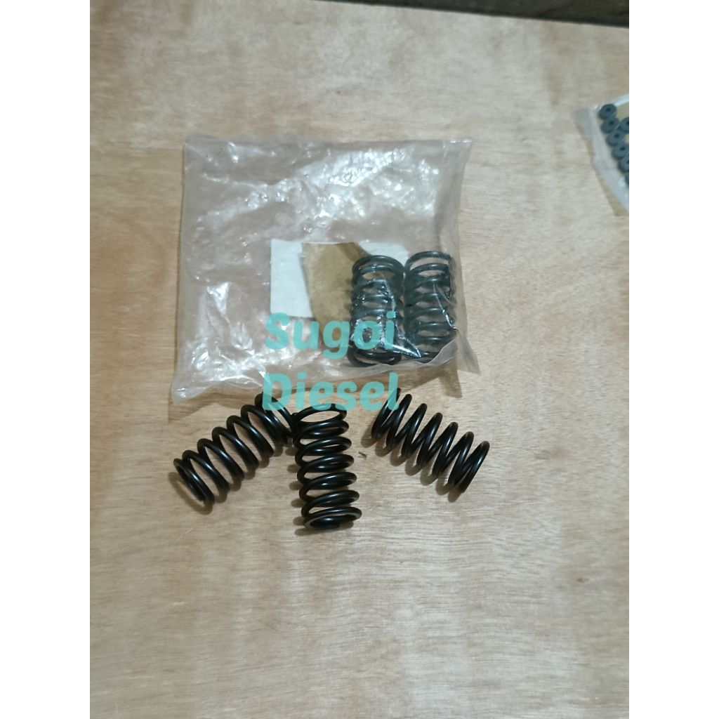 Spring Plunger Canter EM 100/LOHAN ORI Denso