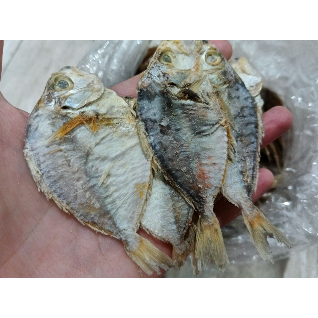 

ikan asin petek murah 2000an