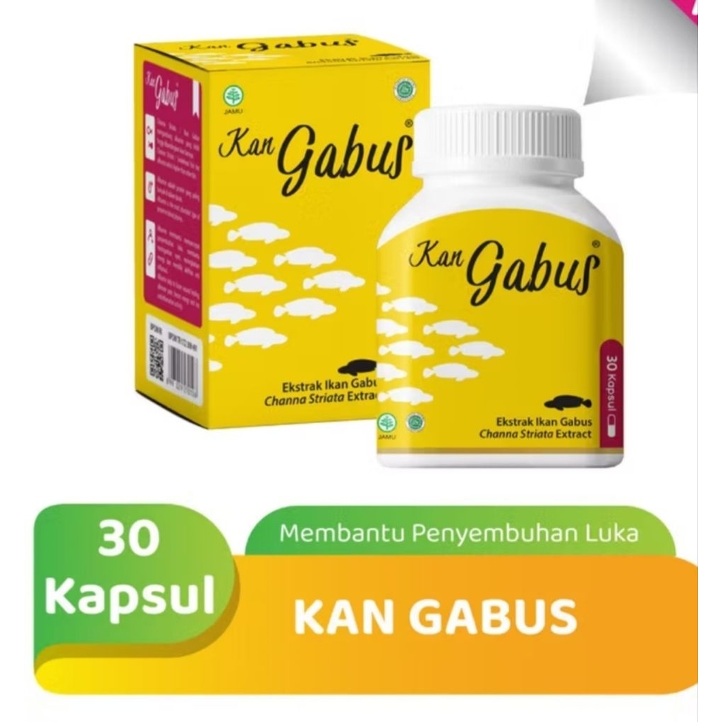 ikan gabus(kan gabus) suplemen ikan gabus