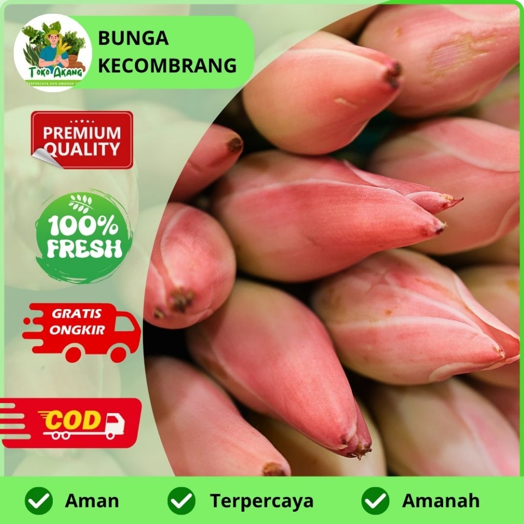 

BUNGA KECOMBRANG FRESS PER 500gram dan 1000 gram