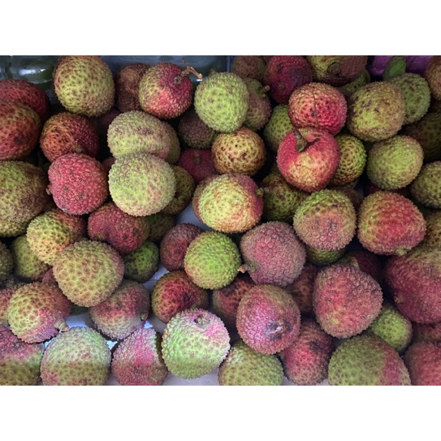 

buah leci manis segar banyak air fresh import 500g
