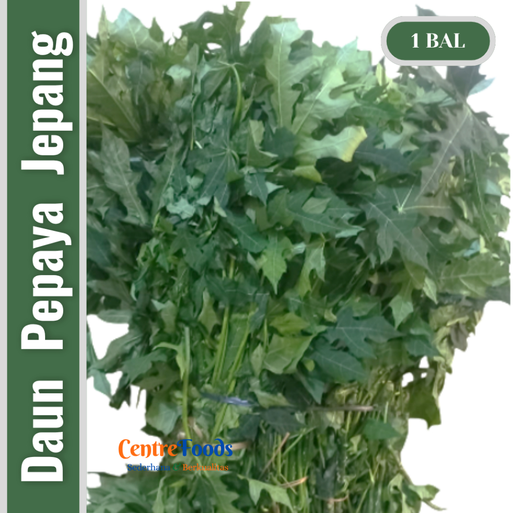 

Sayur Daun Pepaya Jepang Segar - Daun Chaya Fresh | isi 10 Ikat - 3-3.5 Kg [ Harga Per BAL ]