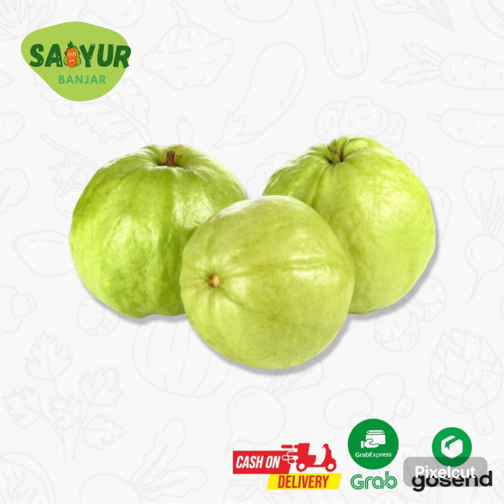 

JAMBU KRISTAL / Berat 500 Gram