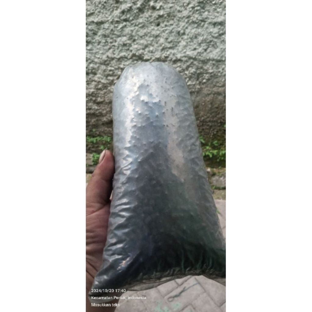 carbon aktif stick 1kg / carbon aktif aquarium dan kolam