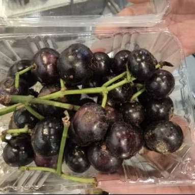 

Buah rujak gowok | buah kupa manis segar 500 gr