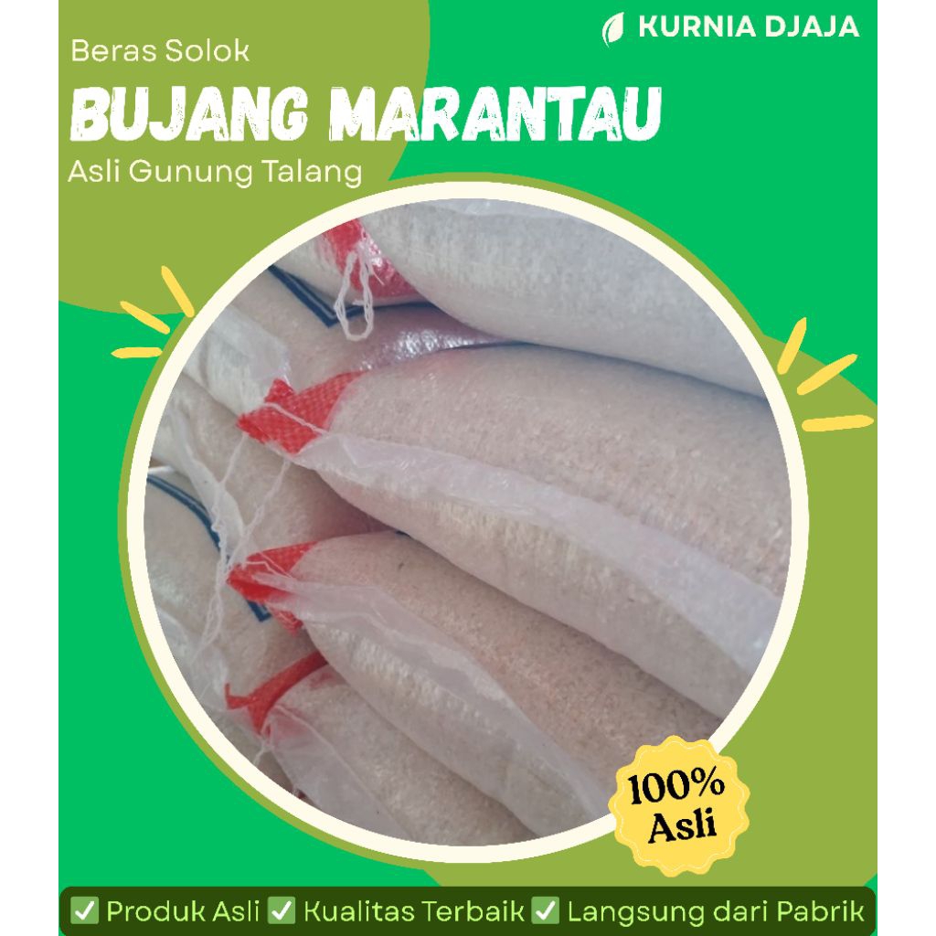 

Beras Solok Asli | Bareh Solok Bujang Marantau Asli Gunung Talang